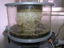 lg 3000 skimmer